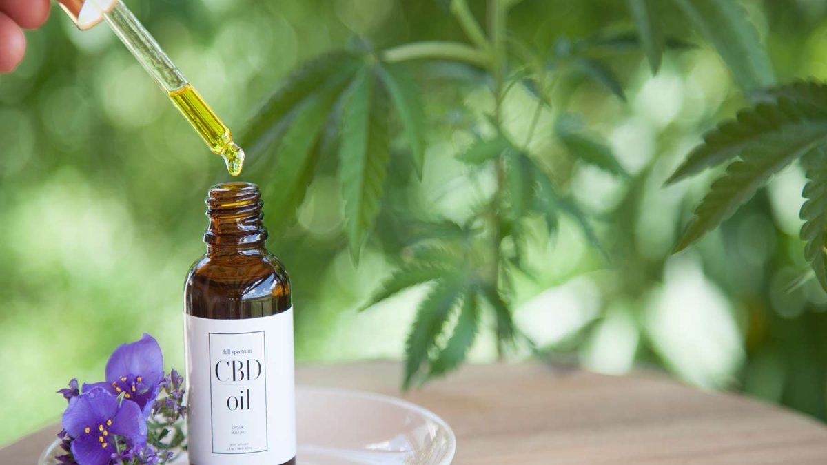 CBD Market Analysis, Size, Sales, Growth Report And More