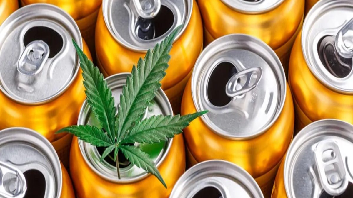 Is Cannabis Beer The Next Big Trend In The U.S.?