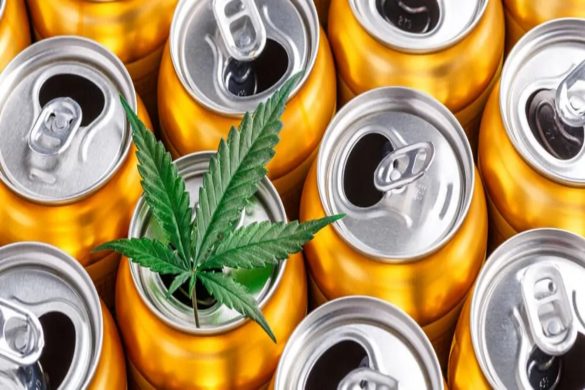 Cannabis Beer The Next Big Trend In The U.S