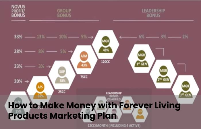 Forever Living Products Marketing Plan 