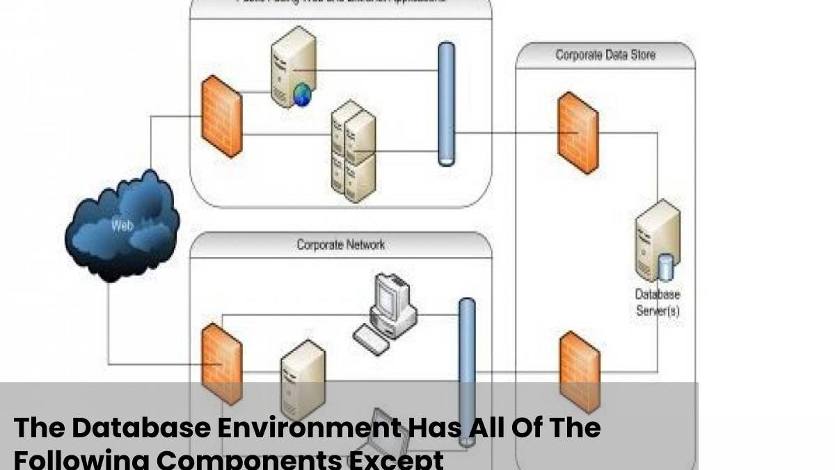 Why is the Database Environment Has All Of The Following Components Except Models