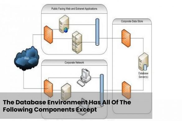 The Database Environment Has All Of The Following Components Except