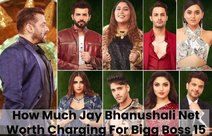 Jay Bhanushali Net Worth