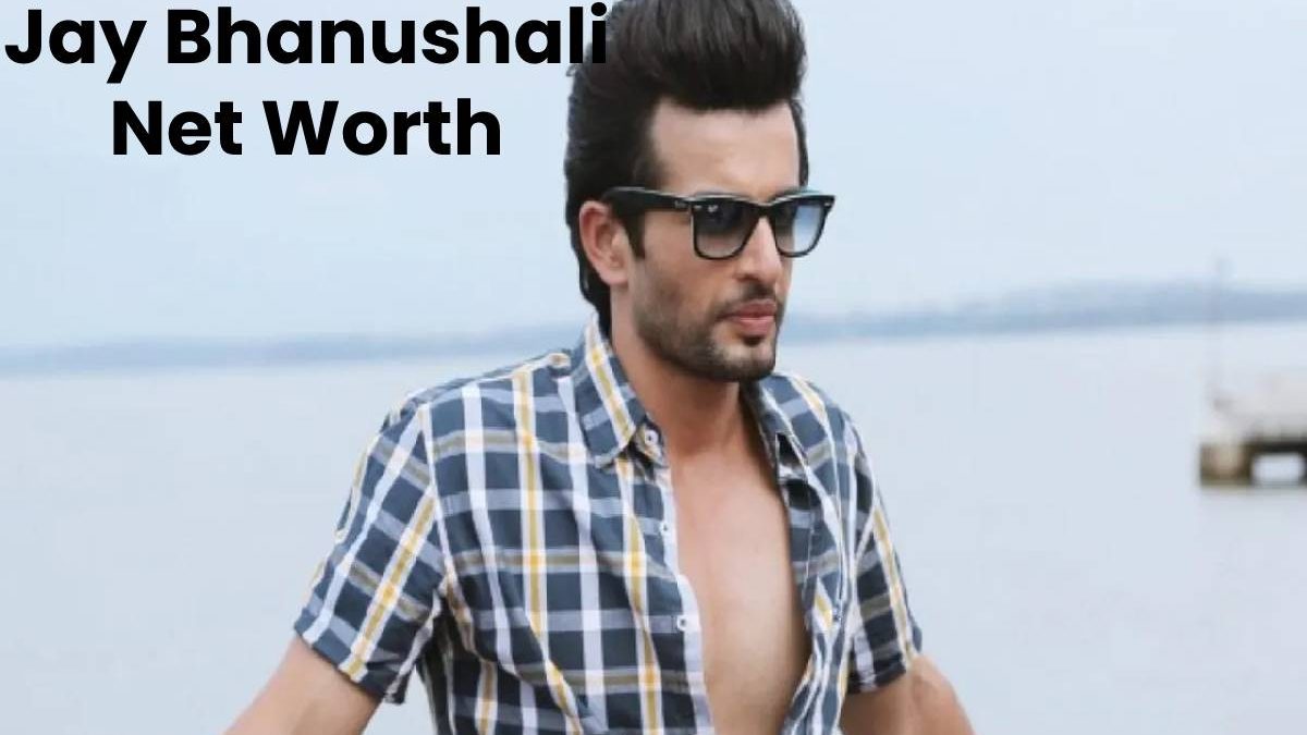 Jay Bhanushali Net Worth