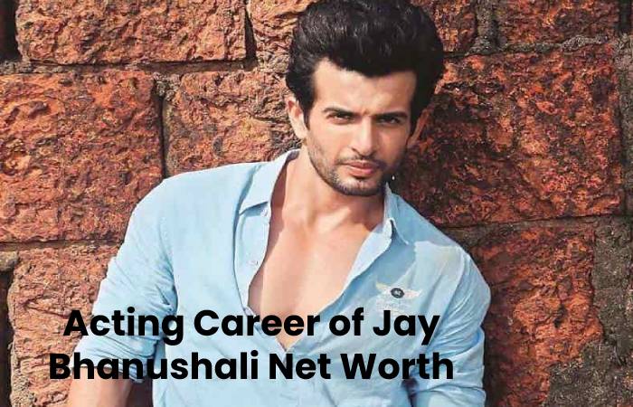 Jay Bhanushali Net Worth