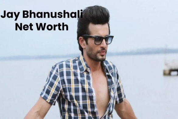 Jay Bhanushali Net Worth
