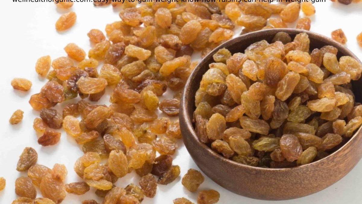 wellhealthorganic.com:easy-way-to-gain-weight-know-how-raisins-can-help-in-weight-gain