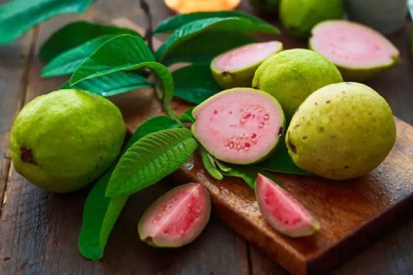 wellhealthorganic.com:5-amazing-health-benefits-of-guava