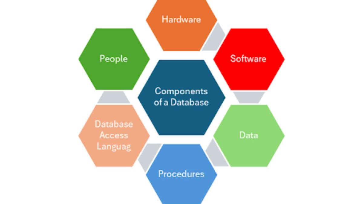 Why is the Database Environment Has All Of The Following Components Except Models